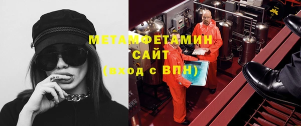 сатива Няндома