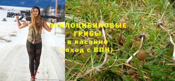 мяу мяу мука Армянск