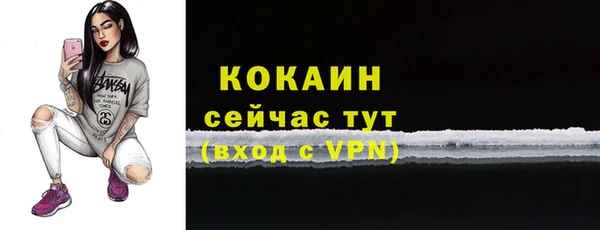 сатива Няндома