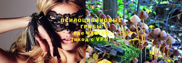 первитин Нягань